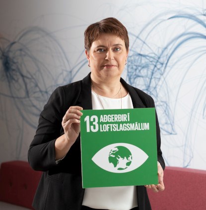 Aðgerðir í loftslagsmálum